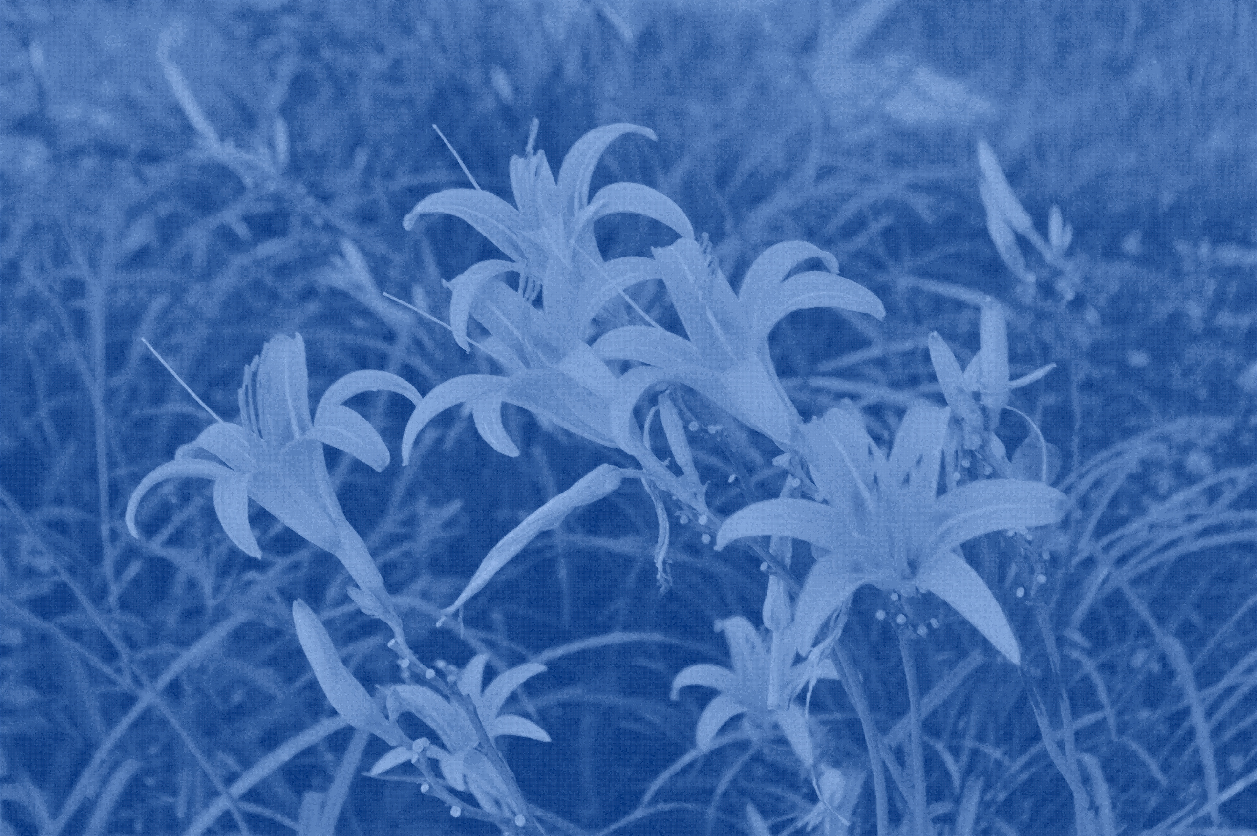 Sorry, this image is unable to load :(